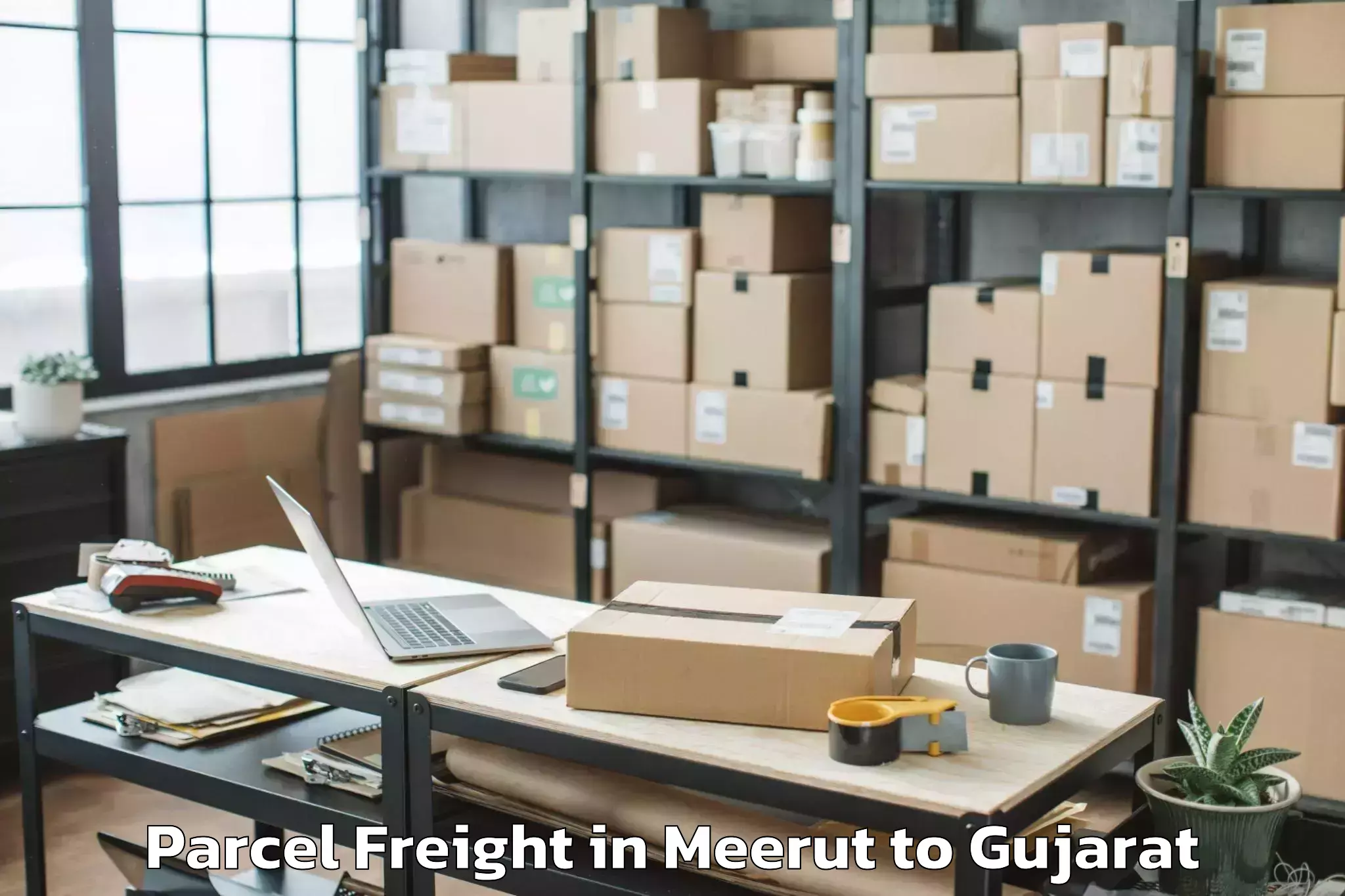 Leading Meerut to Vadpada Parcel Freight Provider